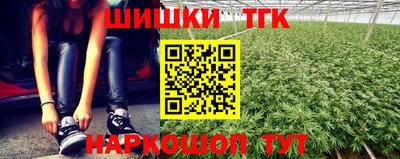 индика Ачхой-Мартан